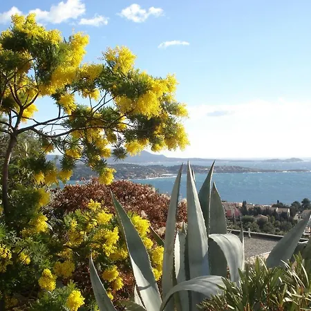 Le Bosquet 3* Bandol