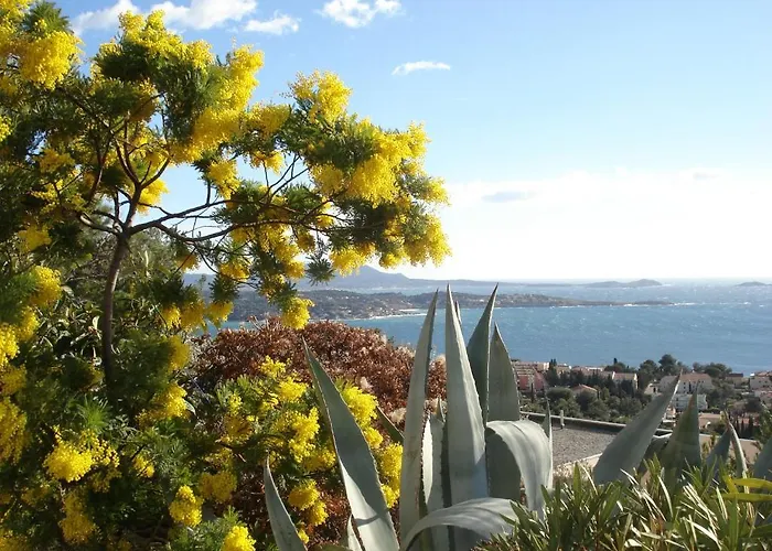 Le Bosquet 3* Bandol